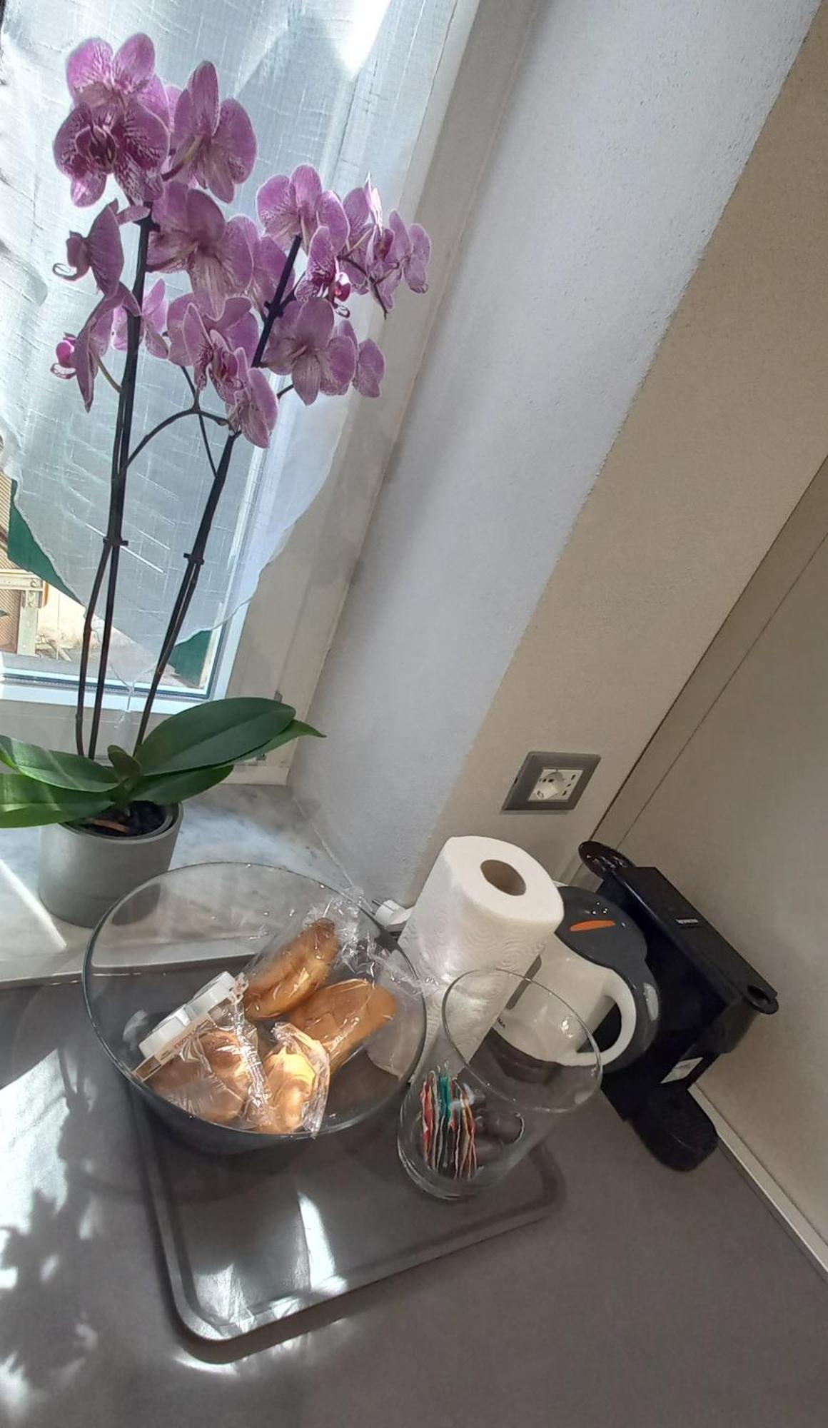 Baxeico Old Town Parking Free Apartman Genova Kültér fotó